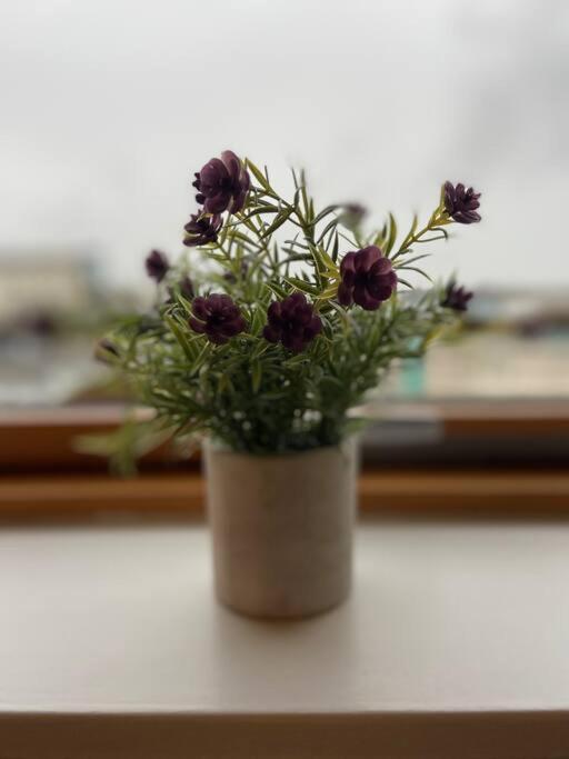 Vera'S Penthouse Wexford Bagian luar foto